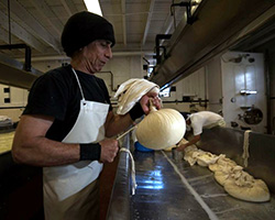 Vella Cheesemaker Image